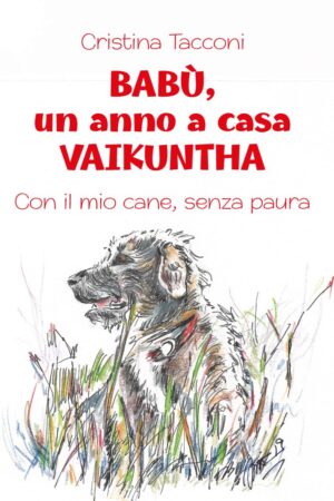 Babù, un anno a casa Vaikuntha