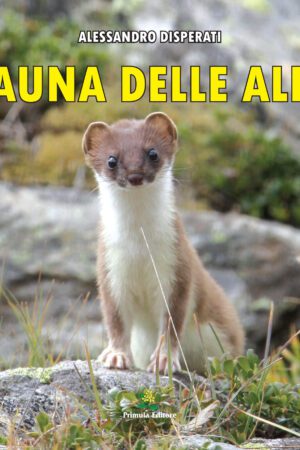 Fauna delle Alpi