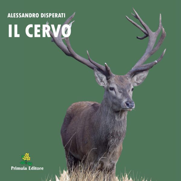 Copertina libro "Il cervo"