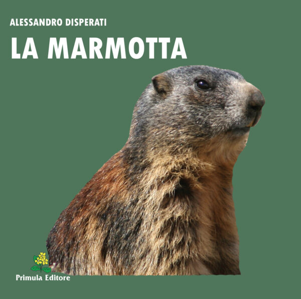 Copertina libro "La marmotta"