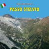 Copertina libro "Passo Stelvio"