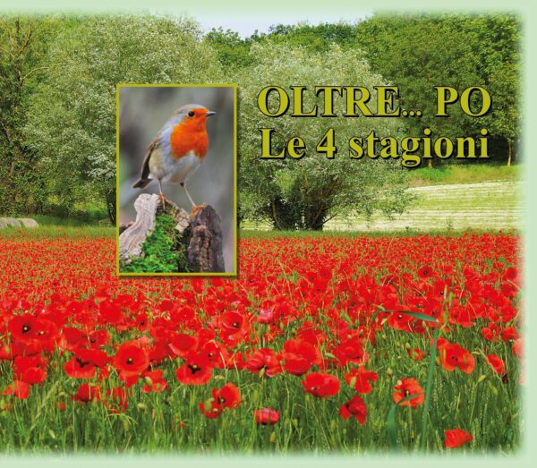 Oltre... Po - Le 4 stagioni